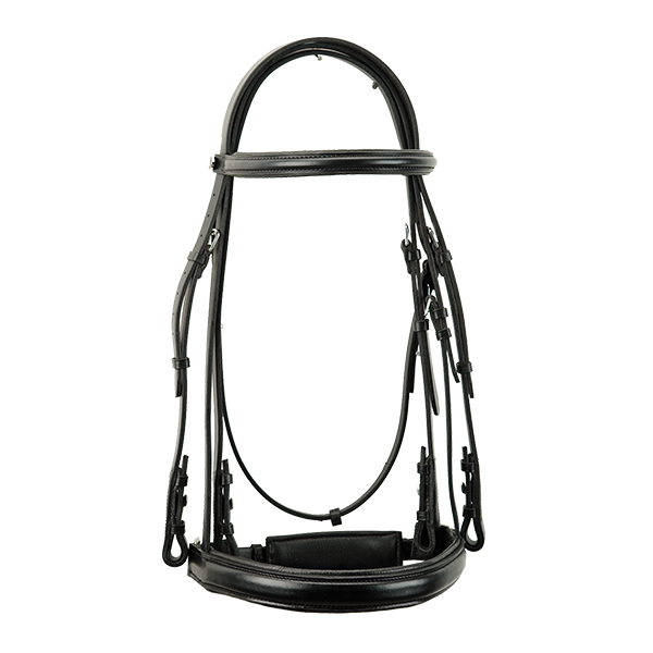 Padded Dressage Bridle